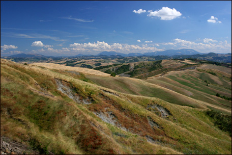 IL MONTEFELTRO